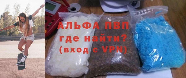 индика Володарск