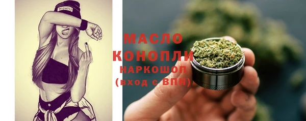 индика Володарск