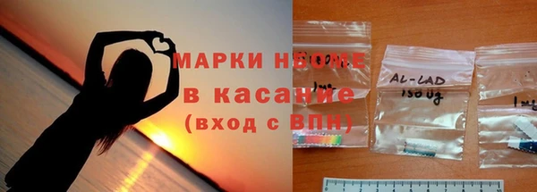 индика Володарск