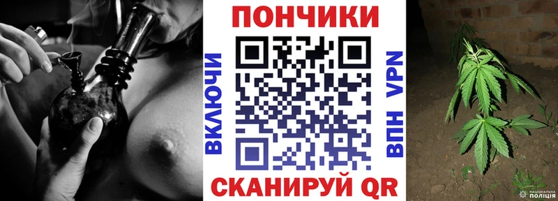 omg вход  Махачкала  Шишки марихуана ГИДРОПОН  закладка 